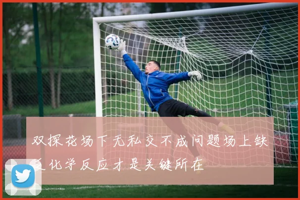 双探花场下无私交不成问题场上缺乏化学反应才是关键所在