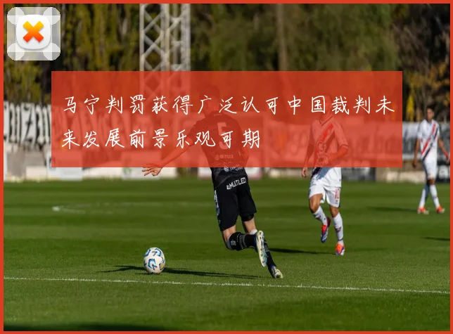 马宁判罚获得广泛认可中国裁判未来发展前景乐观可期